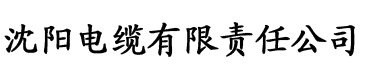 荔枝视频污污电缆厂logo